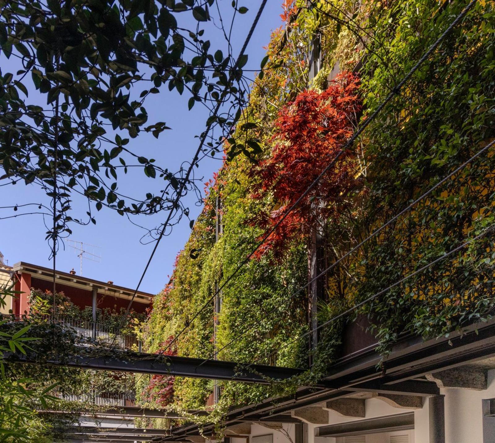 Residence Casa Coppa Appartamento Flox Omegna Kültér fotó